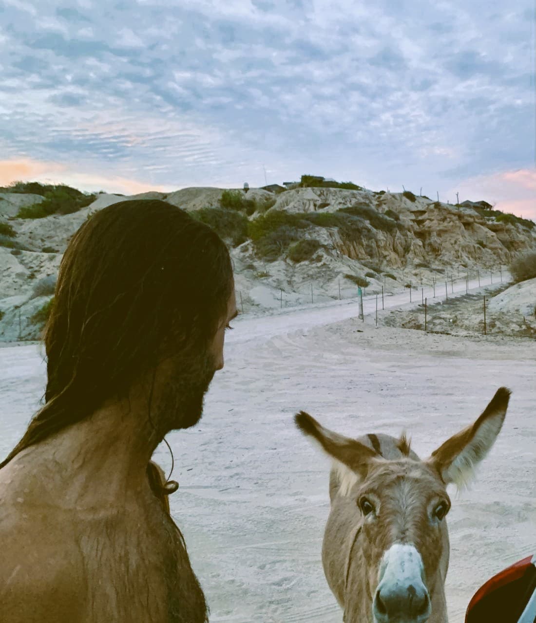 Andres in front of a donkey on the beach at sunset