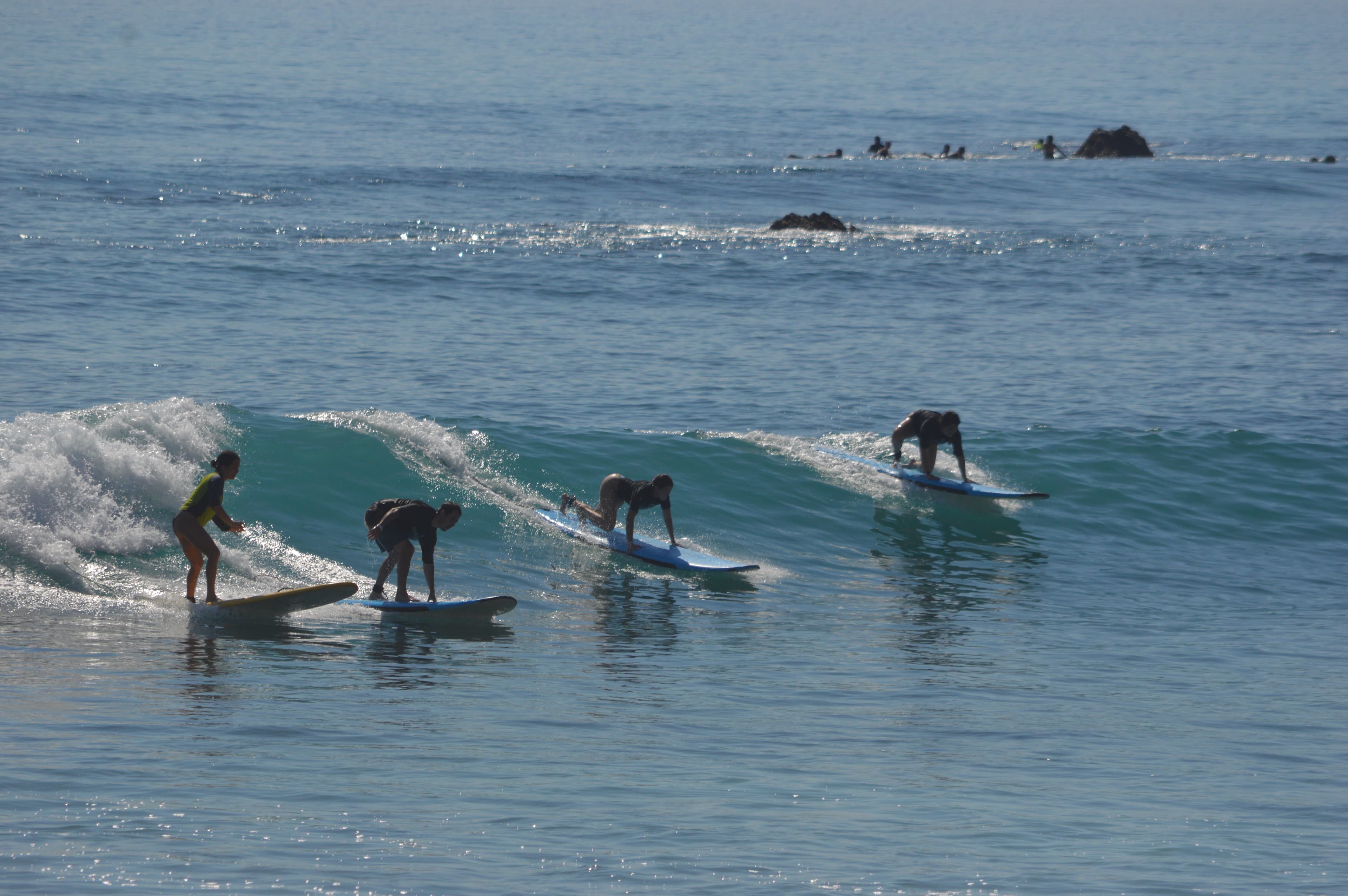 Surf Lesson 1 hour, photo 2